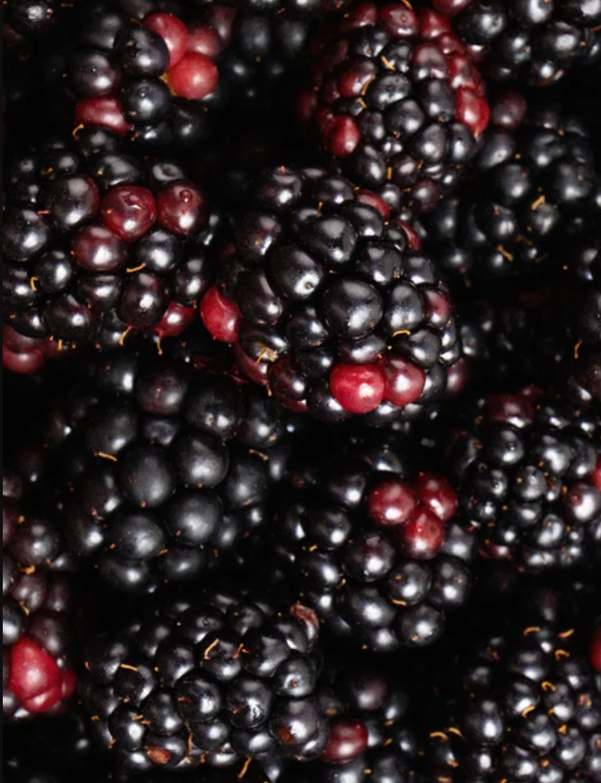 Aloe Cleansing Gel With Blackberry Extract